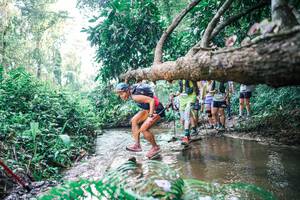 BIB: 
                            <button type="button" onclick="openModal(25454833)" class="btn btn-primary btn-sm float-right btn-popup" data-toggle="modal" data-target=".modal-high-quality">
                        <i class="fas fa-shopping-cart"></i> Add to Cart
                    </button>
                                            <button type="button" onclick="isThisMe(25454833, true)" class="btn btn-success btn-sm float-right btn-popup btn-isme hidden" data-toggle="tooltip" data-placement="bottom" title="นี่คือรูปของคุณใช่ไหม คลิกที่นี่เพื่อเอาเข้าอัลบั้ม">
                        <i class="fas fa-plus"></i> Add to album
                    </button>
                    <button type="button" onclick="isThisMe(25454833, false)" class="btn btn-warning btn-sm float-right btn-popup btn-isnotme hidden">
                        <i class="fas fa-ban"></i> Remove from album
                    </button>